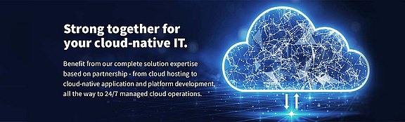 Image ConSol & OVHcloud: Your All-in-One Cloud Solution